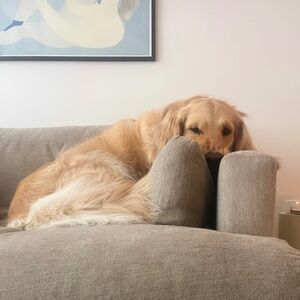 Meet your Posher, Sabrina